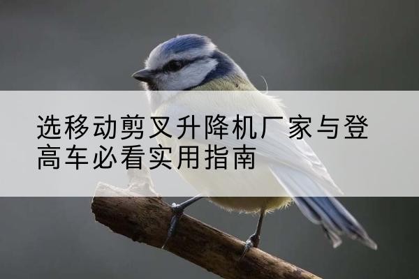 大化电动升降机厂家-选移动剪叉升降机厂家与登高车必看实用指南