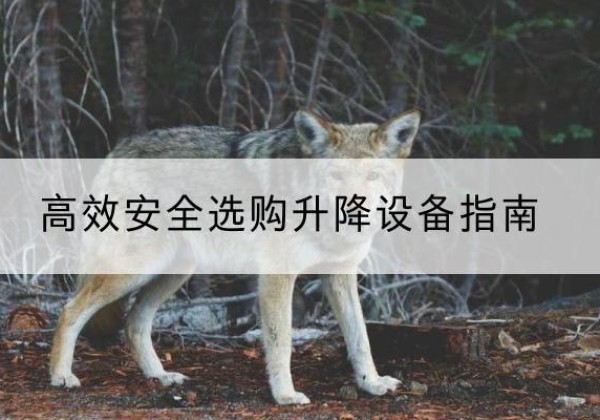 大化升降货梯厂家推荐-*安全选购升降设备指南