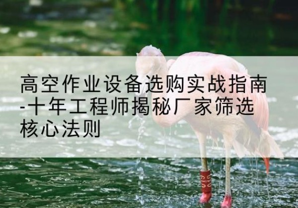 大化剪叉式升降机厂家-高空作业设备选购实战指南-十年工程师揭秘厂家筛选核心法则